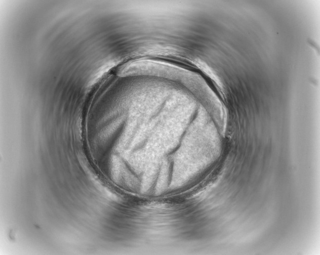 X0000093260581200710241335