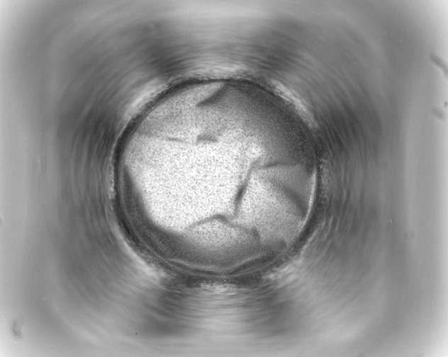 X0000093260582200710241335