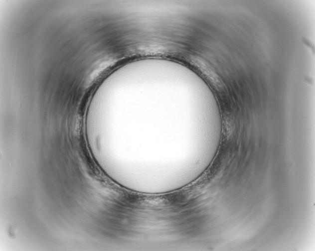 X0000093260583200710241335