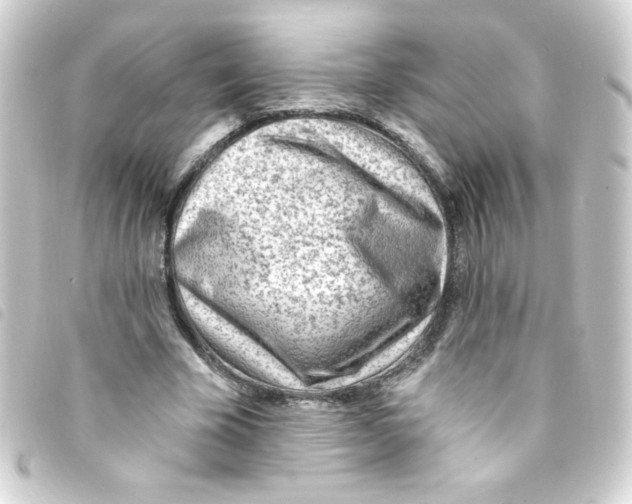 X0000093260585200710241335