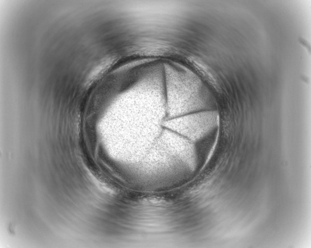 X0000093260586200710241335