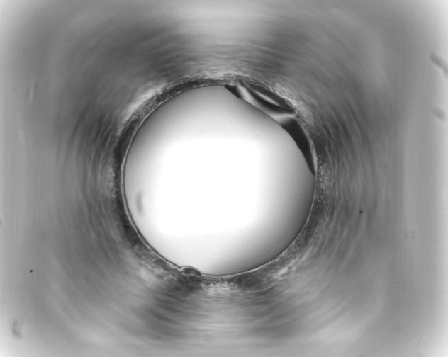X0000093260587200710241335