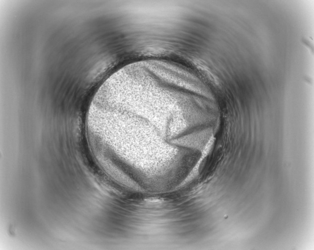 X0000093260591200710241335
