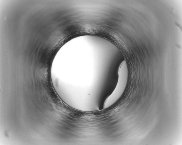 X0000093260595200710241335