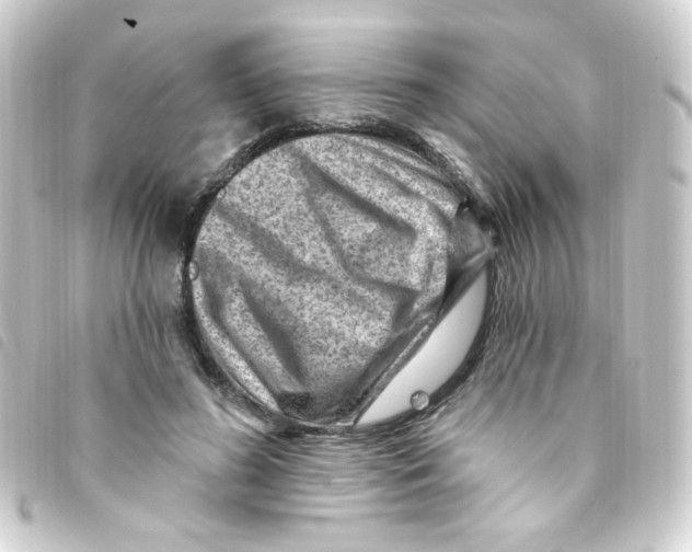 X0000093260596200710241335