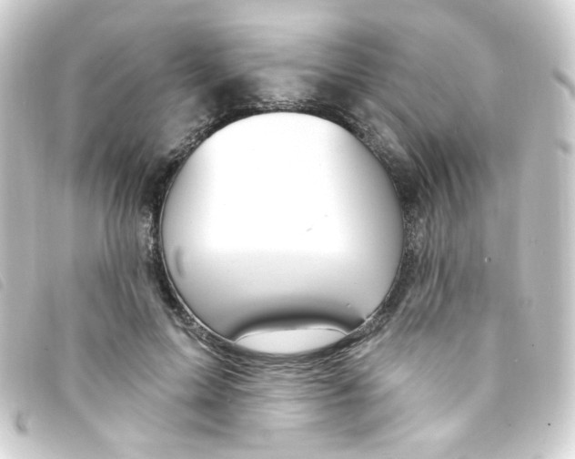 X0000093260599200710241335