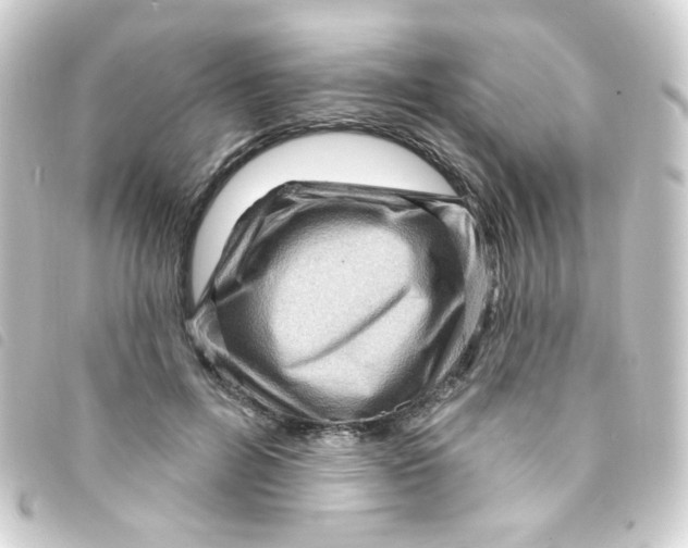 X0000093260600200710241335