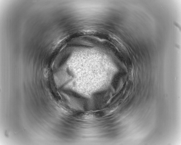 X0000093260604200710241334