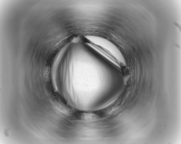 X0000093260605200710241334