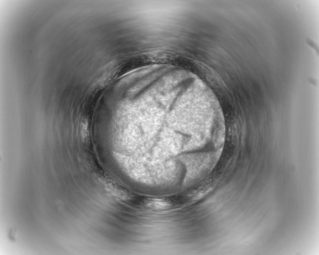 X0000093260610200710241334