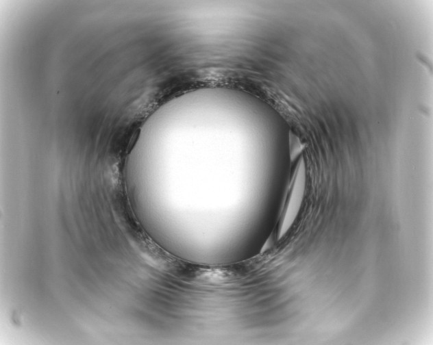 X0000093260611200710241334
