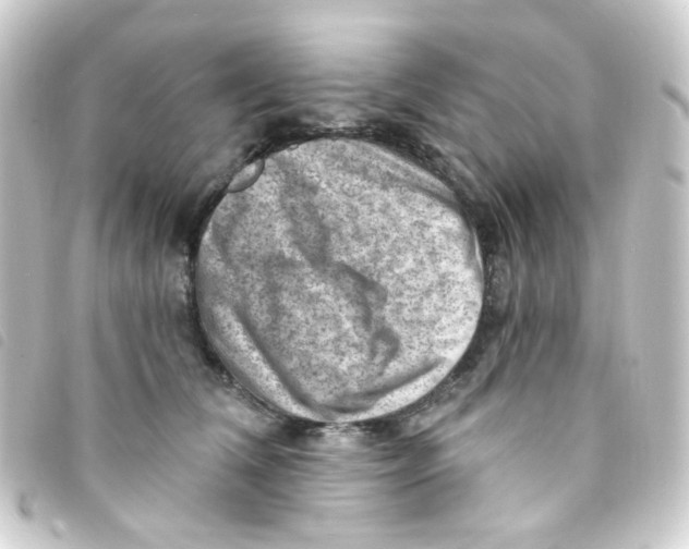 X0000093260612200710241334