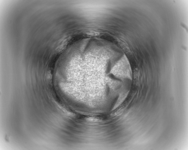 X0000093260614200710241334