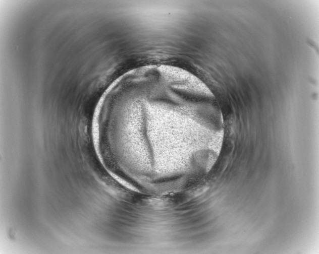 X0000093260615200710241334