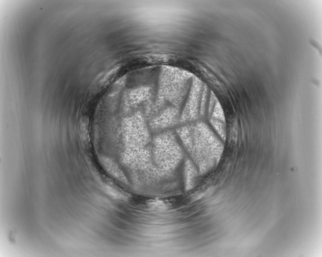 X0000093260616200710241334