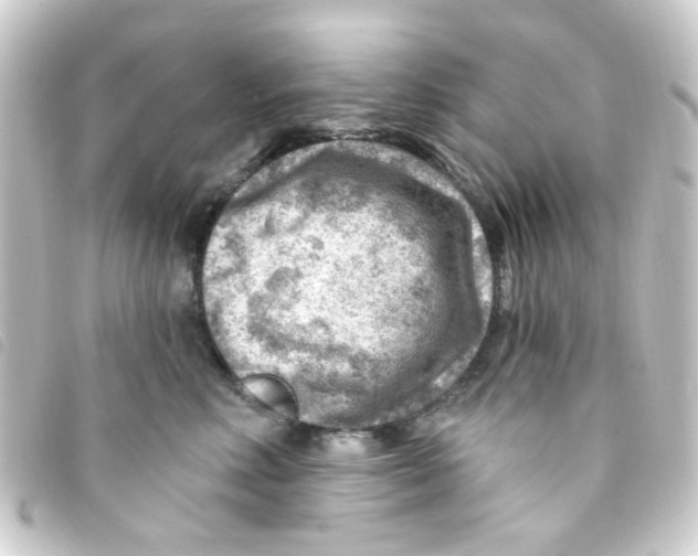 X0000093260618200710241334