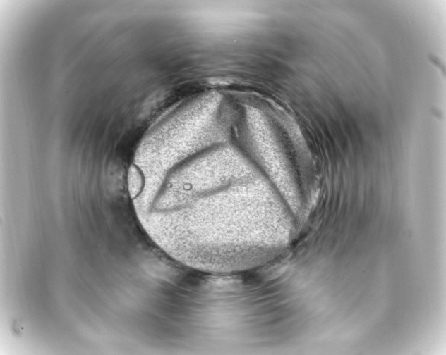X0000093260619200710241334