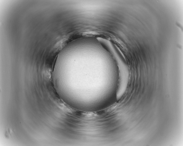 X0000093260621200710241334