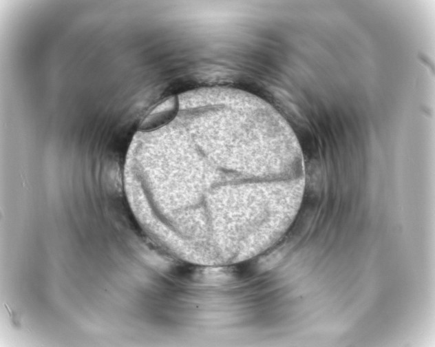 X0000093260622200710241334