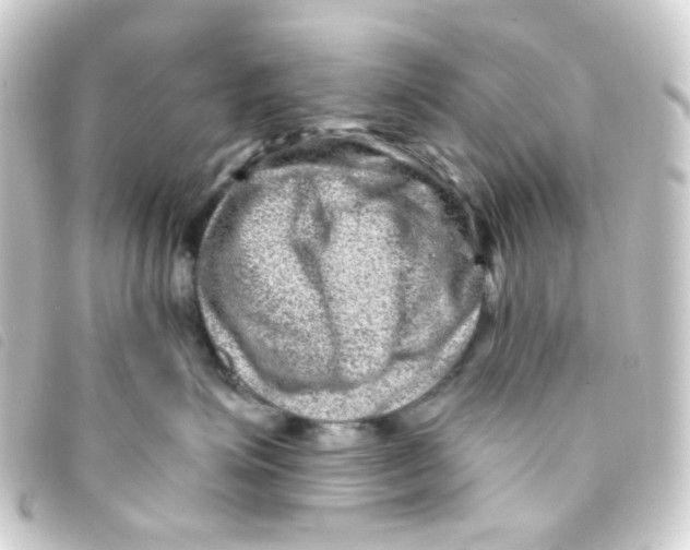 X0000093260623200710241334