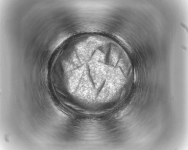 X0000093260627200710241334