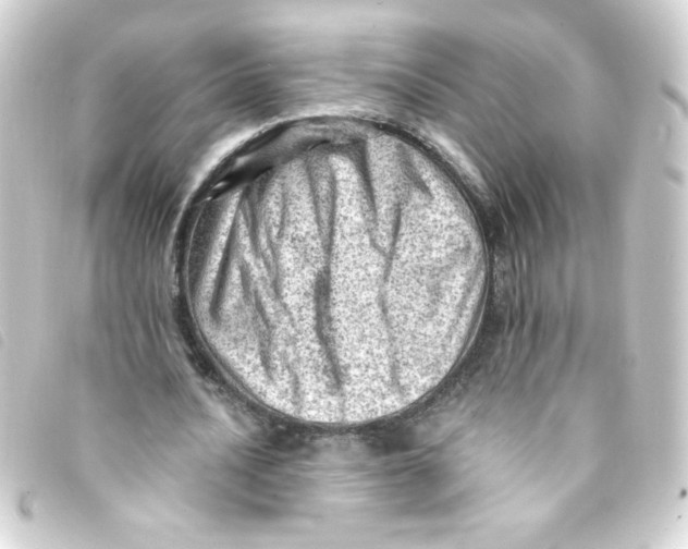 X0000093260628200710241334