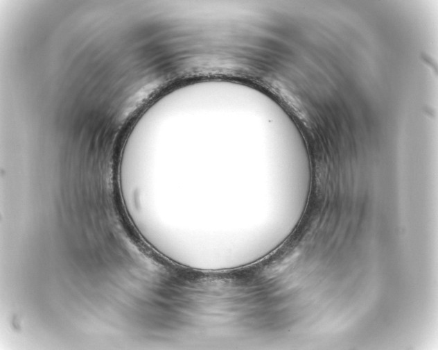 X0000093260629200710241334