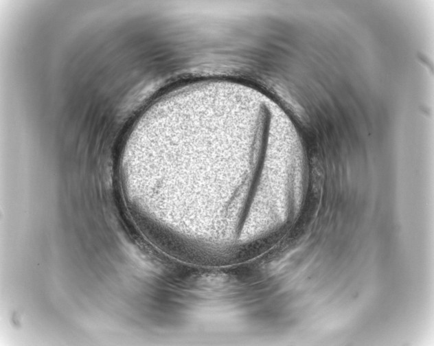 X0000093260631200710241334