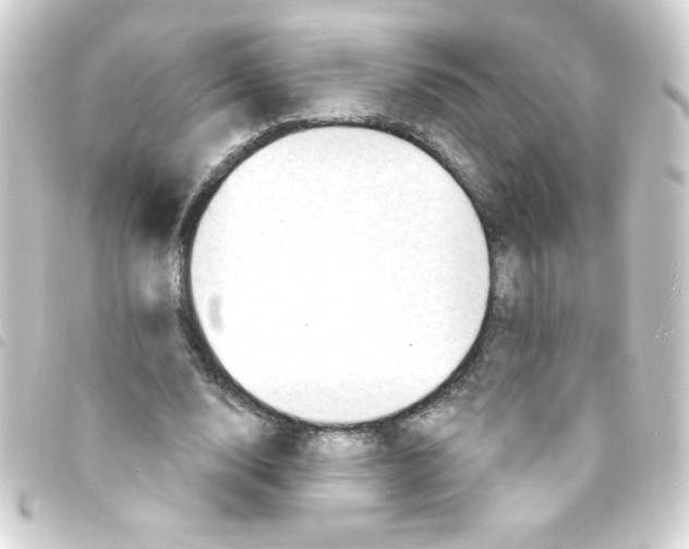 X0000093260632200710241334