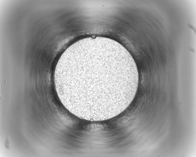 X0000093260636200710241334