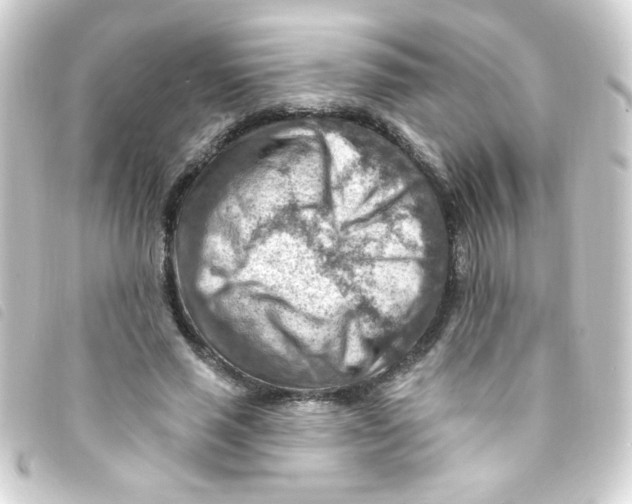 X0000093260637200710241334