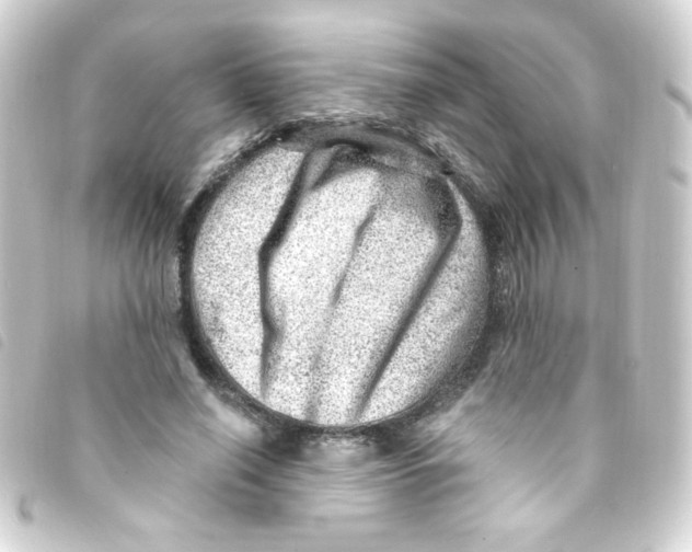 X0000093260638200710241334