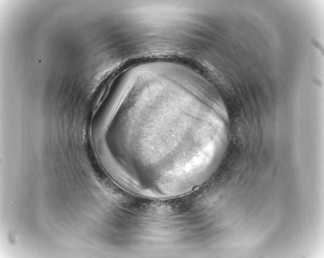 X0000093260640200710241334