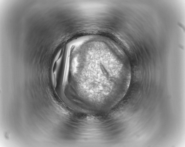 X0000093260641200710241334