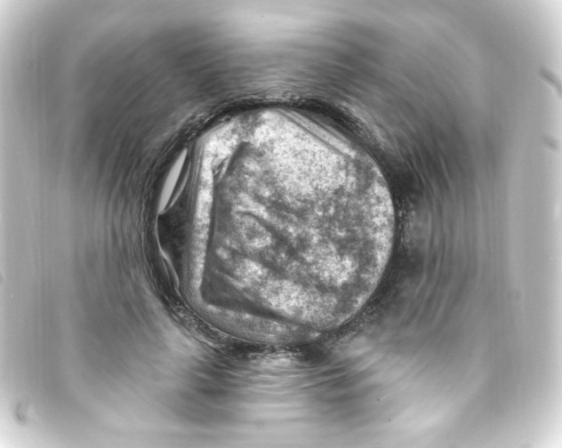 X0000093260643200710241334