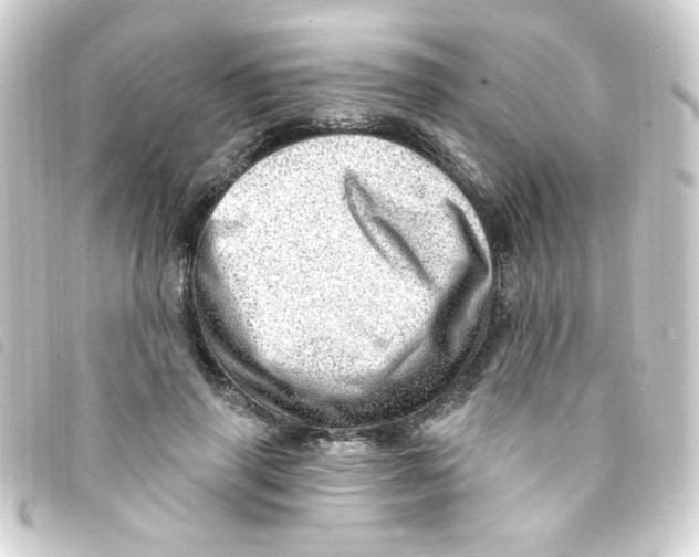 X0000093260645200710241334
