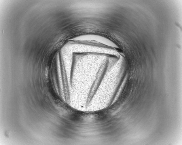 X0000093260646200710241334