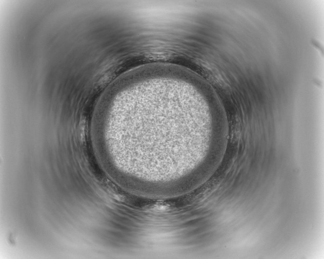 X0000093260647200710241334