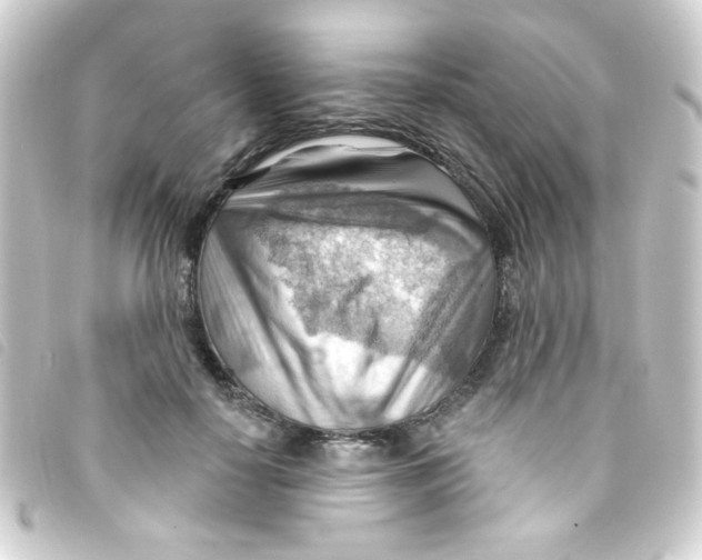 X0000093260650200710241334