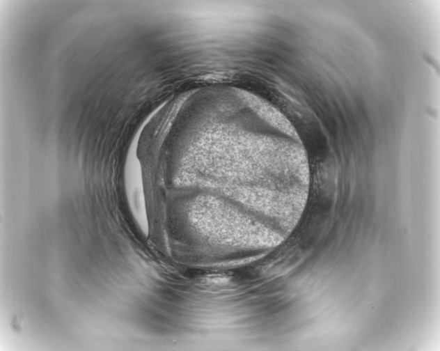 X0000093260651200710241334