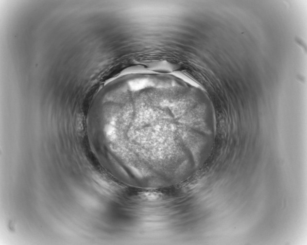 X0000093260654200710241334