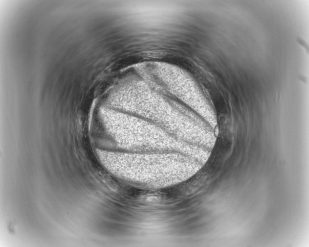 X0000093260655200710241334