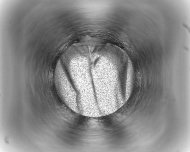 X0000093260657200710241334