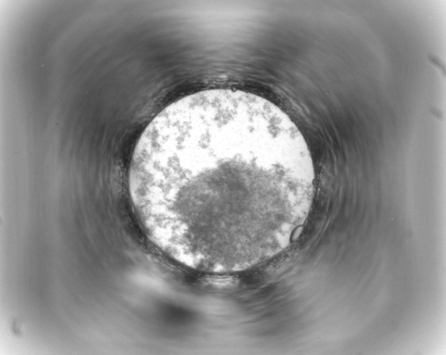 X0000093260659200710241334