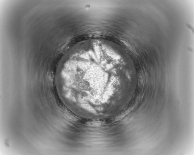 X0000093260661200710241334