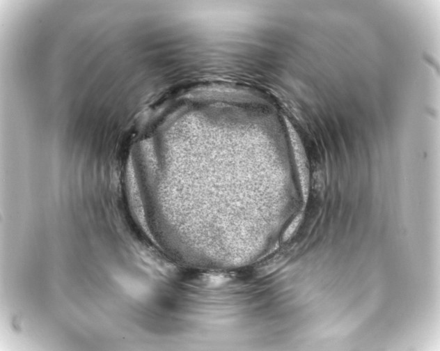 X0000093260662200710241334