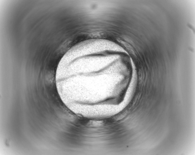 X0000093260665200710241334