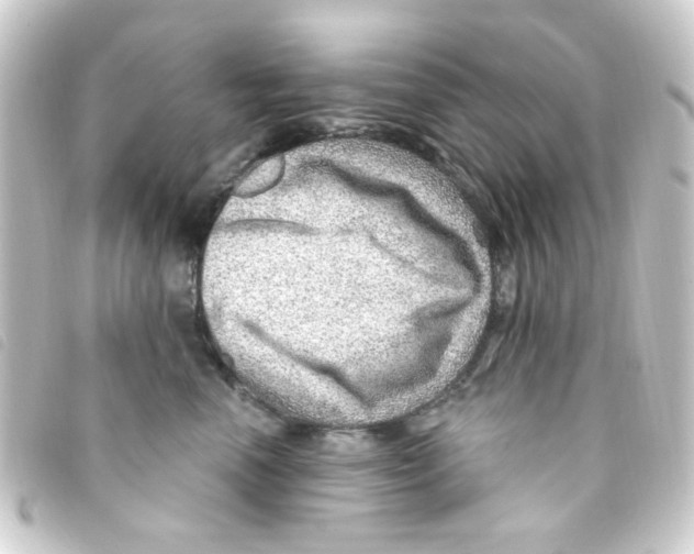 X0000093260666200710241334
