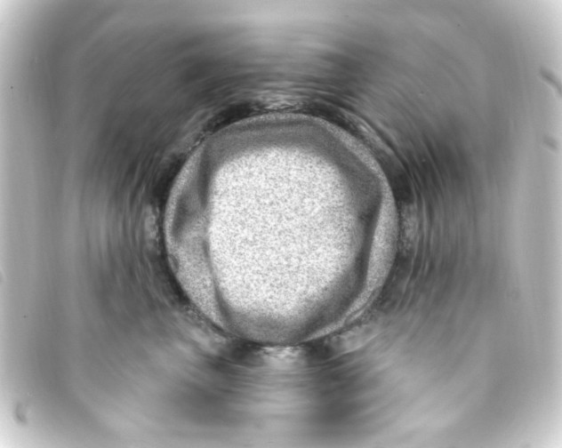 X0000093260667200710241334