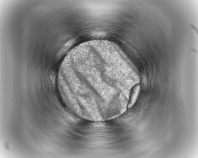 X0000093260668200710241334